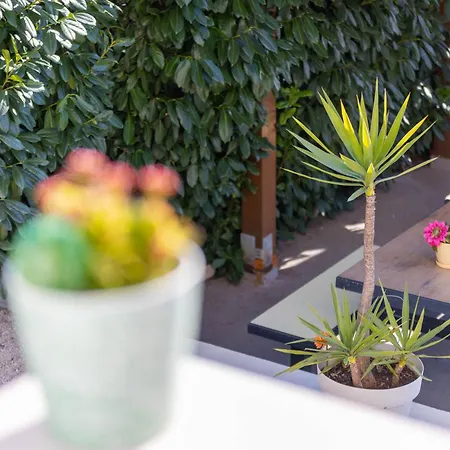 Sunshine With Pool Apartment *