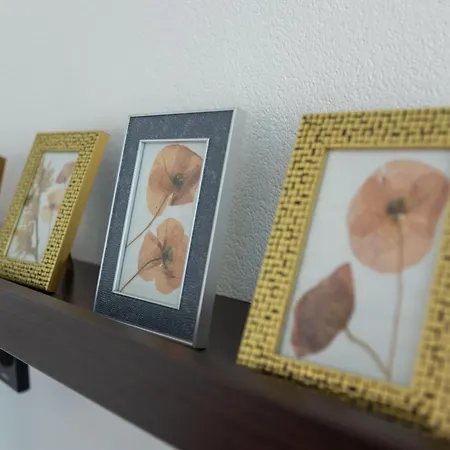 Sunshine With Pool Διαμέρισμα *